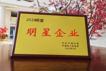 新春新景新氣象 | 景興紙業(yè)在平湖三干大會上喜摘榮譽！